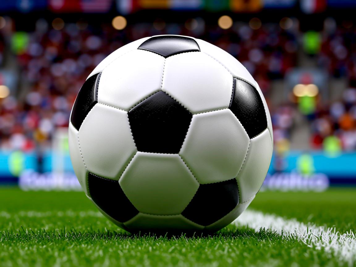 开云体育娱乐-Chinese Taipei未来发展:在全球舞台上扬帆远航,taipei of china 第2张